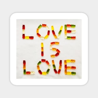 Love is love Magnet