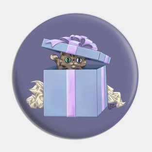 Cat in a Box Pin