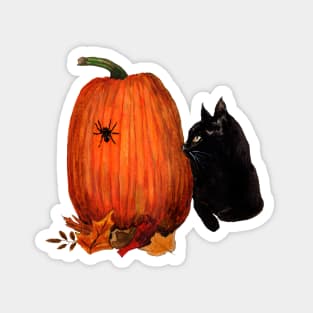 Black cat and Pumpkin Magnet