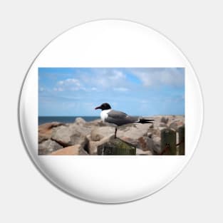 Laughing Gull Pin