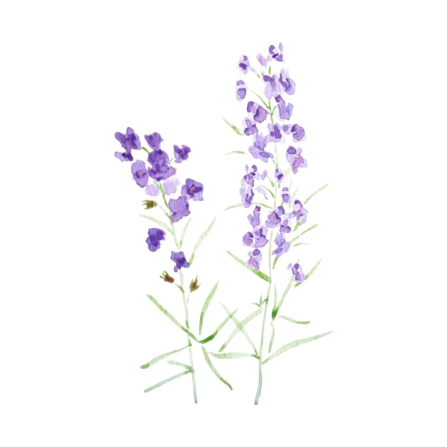 2 purple wildflower watercolor by colorandcolor