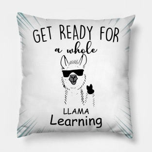 Get Ready For a Whole Llama Learning Pillow