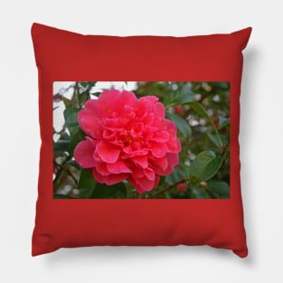 Camellia Pillow