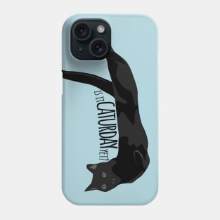 Is it Caturday Yet? Lounging Kitty Phone Case