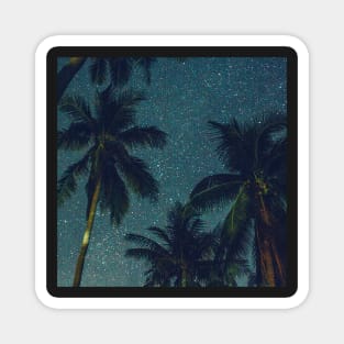 Tropical Star Filled Night Sky Magnet