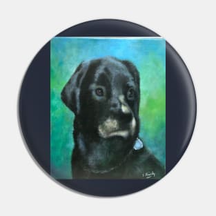 Coda the Wonder Dog Pin