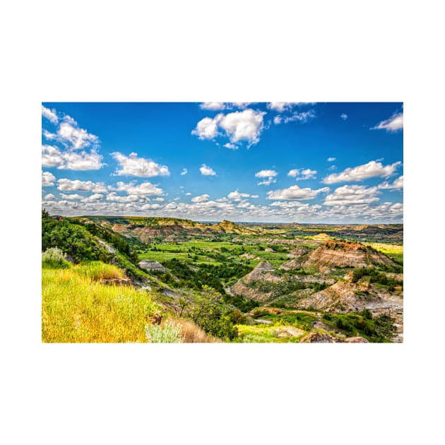 44121  Theodore Roosevelt National Park by Gestalt Imagery