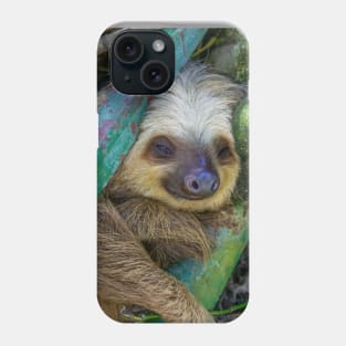 Adorable Sloth Phone Case