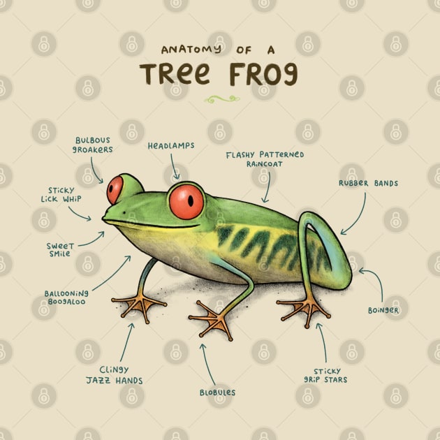 Anatomy of a Tree Frog by Sophie Corrigan