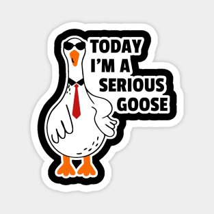 Today I’m A Serious Goose Magnet