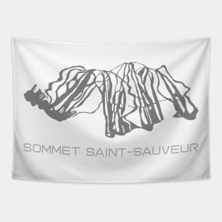 Sommet Saint-Sauveur Resort 3D Tapestry