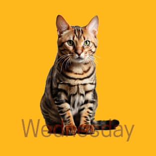 Wednesday cat. Get ready! T-Shirt