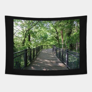 Walkway  through the woods Tapestry