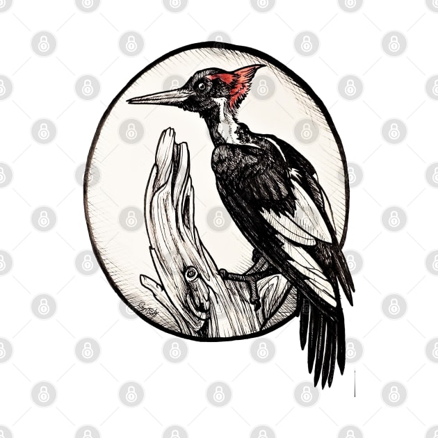 Woodpecker by GnarlyBones