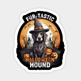 Fur-tastic Halloween Hound Dog Witch Costume Magnet