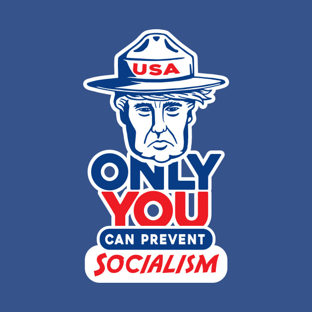 Disover Only You Can Prevent Socialism - Donald Trump President - T-Shirt