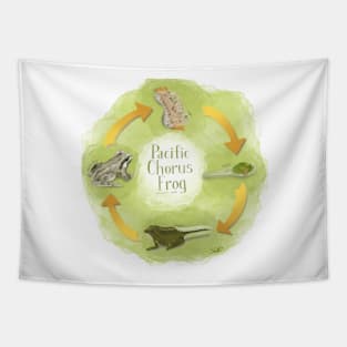 Pacific Tree Frog Life Cycle Tapestry