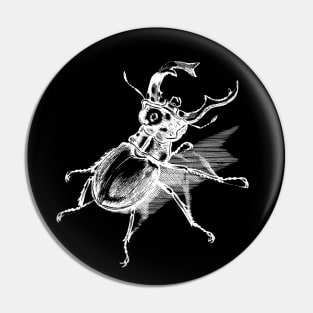 Dramabite Vintage stag beetle illustration Pin