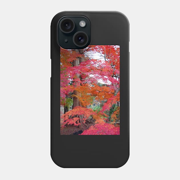 Autumn Colours 5 Phone Case by WaterGardens