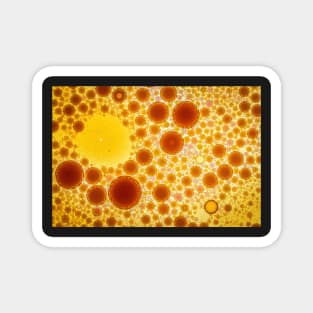 Oil and Vinegar Bubbles1 Magnet