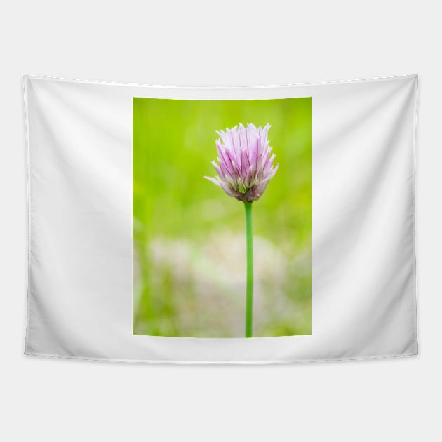 Chives Tapestry by ansaharju