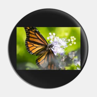 Monarch Wings Pin