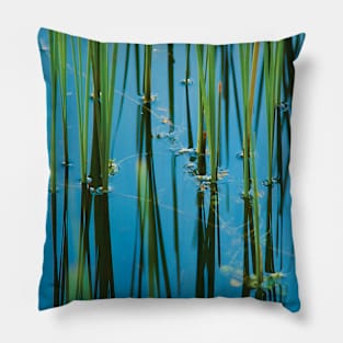 ‘Reedy Or Not’ - reed-bed reflections Pillow