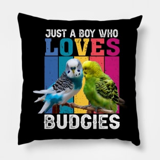 Rainbow Wings: Just A Boy Who Loves Budgies Graphic Tee Pillow