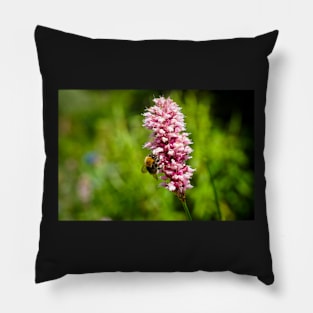 Beautiful Pink Flower With A Bee Pollinating And Green Background Pillow