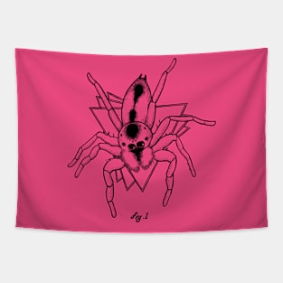 Fig 1. Salticidae Tapestry