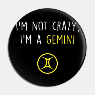 Gemini Funny Pin