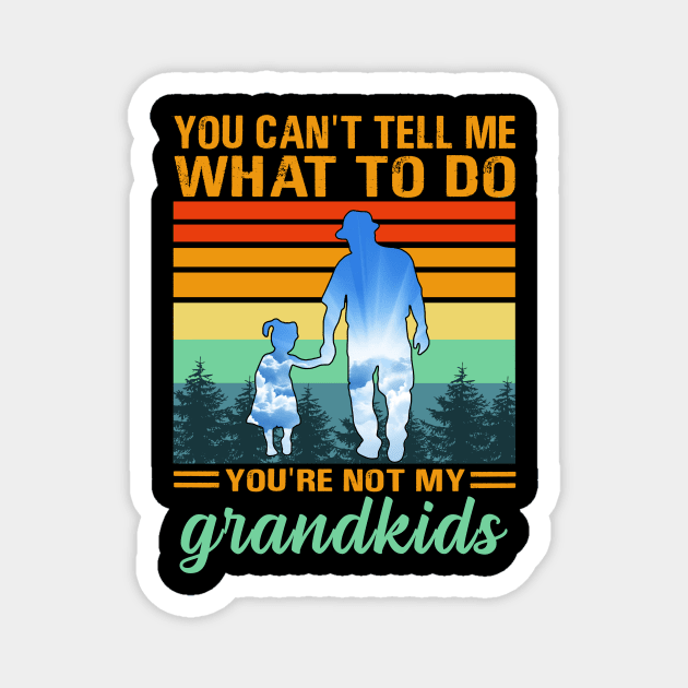 you can't tell me what to do you're not my grandkids Magnet by binnacleenta