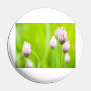 Chives Flower Buds Pin