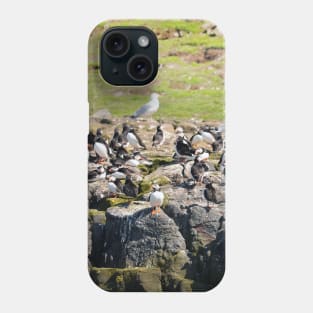 Puffin Rock - Farne Islands Puffins, Northumberland UK Phone Case