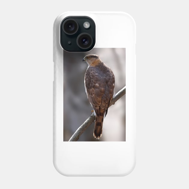 Cooper's Hawk profile Phone Case by Jim Cumming