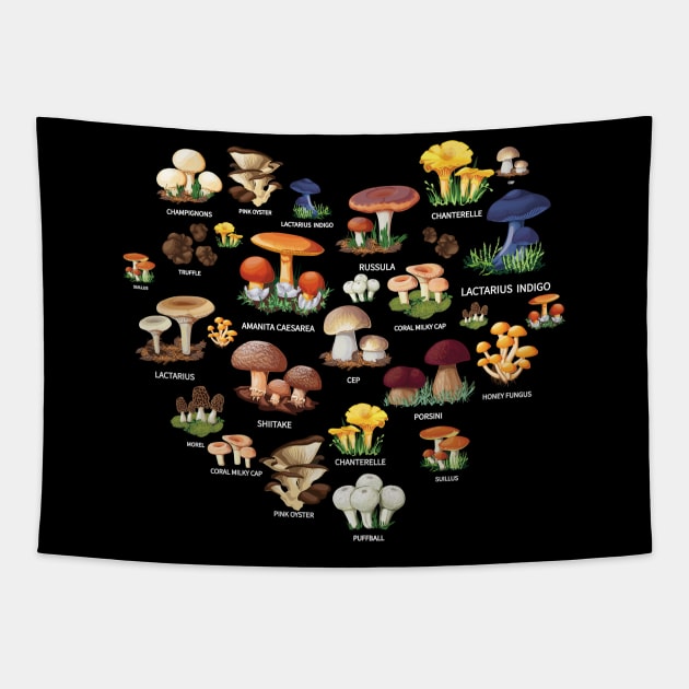 Heart Collection edible mushrooms and toadstools / mycology student gift idea / mycology lover present  / Mushroom Fungi Tapestry by Anodyle