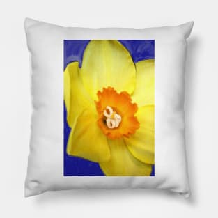 Daffodil Pillow