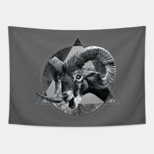 Horns & Space Tapestry