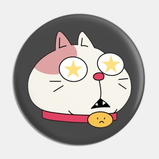 Stars Cat ! Pin