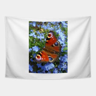 Peacock Butterfly Tapestry