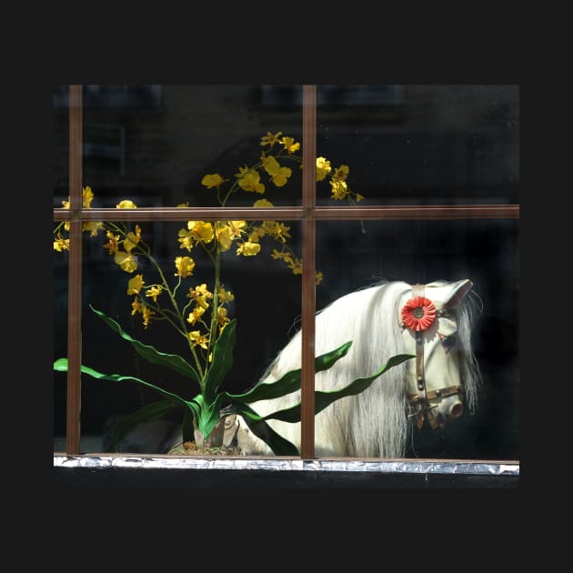 Still Life With Hobby Horse by AlexaZari