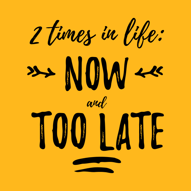 2 times in life: now and too late by SkateAnansi