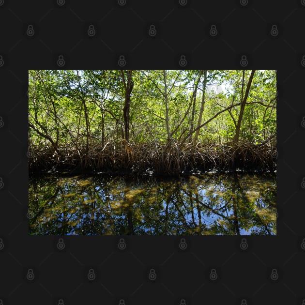 Mangroves Reflecting on Water by Sparkleweather