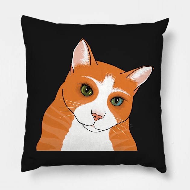 The Cute Ginger cat watching you seems a bit worried Pillow by marina63
