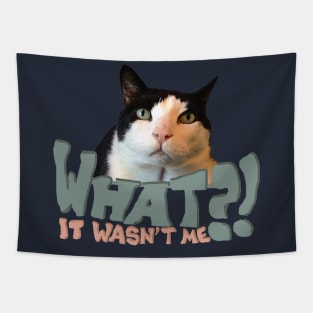 Innocent Cat Tapestry