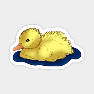 Duck Magnet