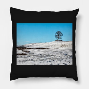 Lone Oak Pillow