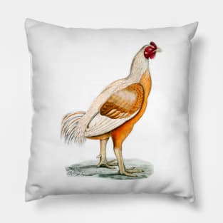 Giant Rooster vintage colorful illustration in drawing Pillow