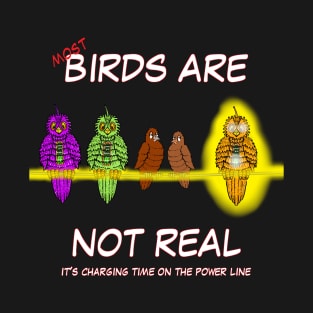 BIRDS ARE NOT REAL MOST T-Shirt