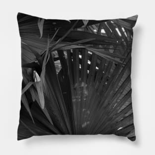 Noir Palm tree - black and white - nature photography Pillow